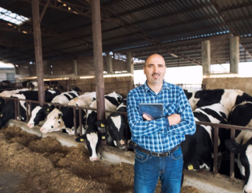5 Steps to Building a Successful Career in Animal Nutrition