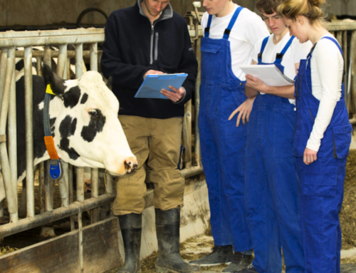 How to Tailor Your Application for a Career in Animal Health