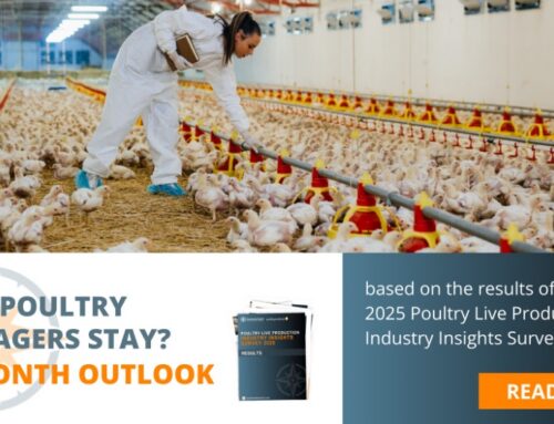 Will Poultry Managers Stay? 12-Month Retention Outlook