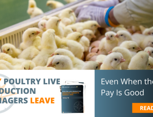 Why Poultry Live Production Managers Leave Even When the Pay Is Good