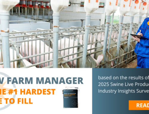 Sow Farm Manager Is The #1 “Hardest Role To Fill”